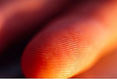 云顶之弈S8.5烬阵容搭配，S8.5烬阵容装备站位攻略